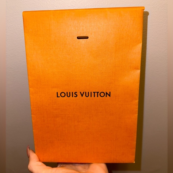 LOUIS VUITTON GIFT BAG EUC - Picture 1 of 6